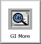 GI More Amiga